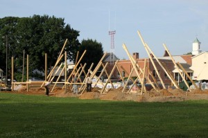 IMG_0393