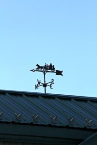 IMG_0600